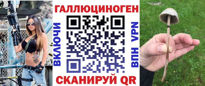 Купить где  Красноперекопск  Псилоцибиновые грибы Psilocybine cubensis 